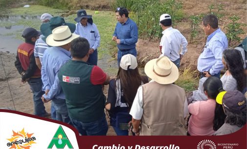 El Gerente Ejecutivo de AUTODEMA, Ing. Duberly Otazú García, inspeccionó las parcelas  102, 103 y 104 (lateral B3)